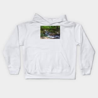 Nature Scene Kids Hoodie